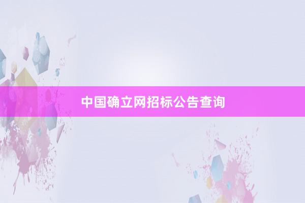 中国确立网招标公告查询